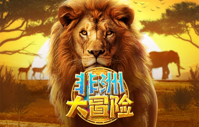 小金体育平台